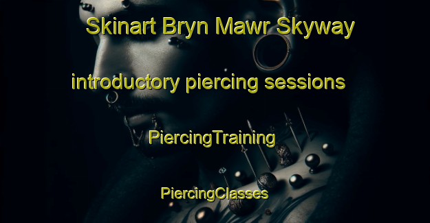 Skinart Bryn Mawr Skyway introductory piercing sessions | #PiercingTraining #PiercingClasses #SkinartTraining-United States