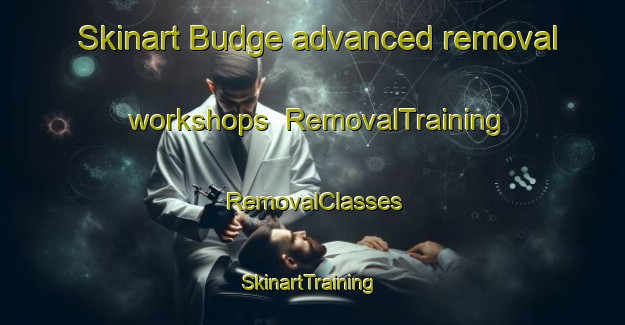 Skinart Budge advanced removal workshops | RemovalTraining | RemovalClasses | SkinartTraining-United States
