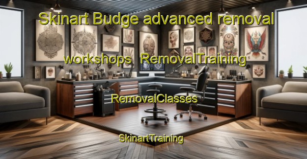 Skinart Budge advanced removal workshops | RemovalTraining | RemovalClasses | SkinartTraining-United States