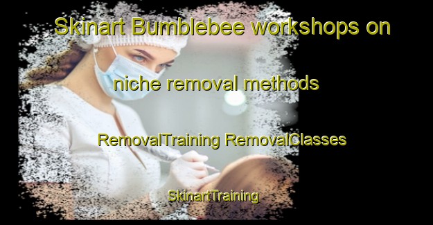 Skinart Bumblebee workshops on niche removal methods | #RemovalTraining #RemovalClasses #SkinartTraining-United States