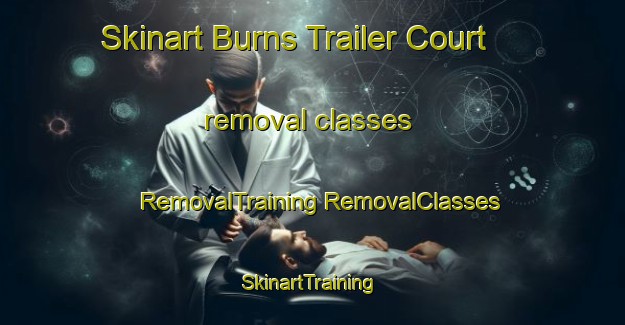 Skinart Burns Trailer Court removal classes | #RemovalTraining #RemovalClasses #SkinartTraining-United States