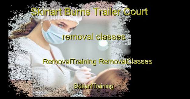 Skinart Burns Trailer Court removal classes | #RemovalTraining #RemovalClasses #SkinartTraining-United States