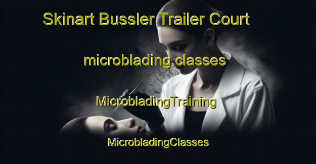 Skinart Bussler Trailer Court microblading classes | #MicrobladingTraining #MicrobladingClasses #SkinartTraining-United States