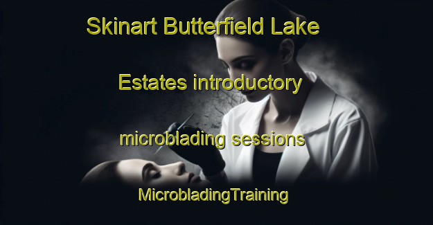 Skinart Butterfield Lake Estates introductory microblading sessions | #MicrobladingTraining #MicrobladingClasses #SkinartTraining-United States