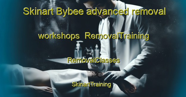 Skinart Bybee advanced removal workshops | RemovalTraining | RemovalClasses | SkinartTraining-United States