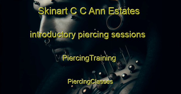 Skinart C C Ann Estates introductory piercing sessions | #PiercingTraining #PiercingClasses #SkinartTraining-United States