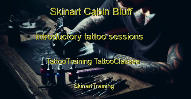 Skinart Cabin Bluff introductory tattoo sessions | #TattooTraining #TattooClasses #SkinartTraining-United States