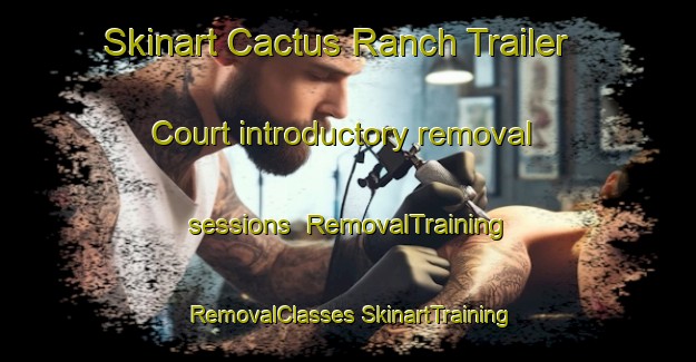 Skinart Cactus Ranch Trailer Court introductory removal sessions | #RemovalTraining #RemovalClasses #SkinartTraining-United States