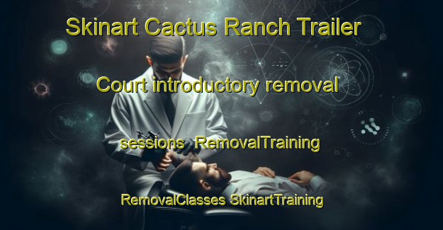 Skinart Cactus Ranch Trailer Court introductory removal sessions | #RemovalTraining #RemovalClasses #SkinartTraining-United States