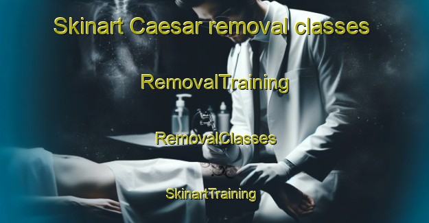 Skinart Caesar removal classes | RemovalTraining | RemovalClasses | SkinartTraining-United States