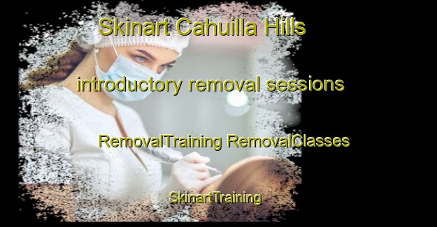 Skinart Cahuilla Hills introductory removal sessions | #RemovalTraining #RemovalClasses #SkinartTraining-United States