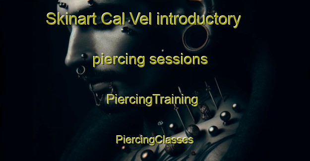 Skinart Cal Vel introductory piercing sessions | #PiercingTraining #PiercingClasses #SkinartTraining-United States