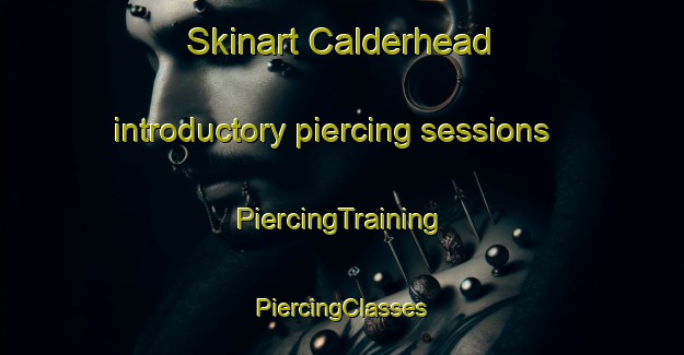 Skinart Calderhead introductory piercing sessions | #PiercingTraining #PiercingClasses #SkinartTraining-United States