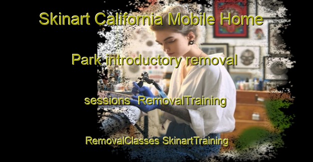 Skinart California Mobile Home Park introductory removal sessions | #RemovalTraining #RemovalClasses #SkinartTraining-United States