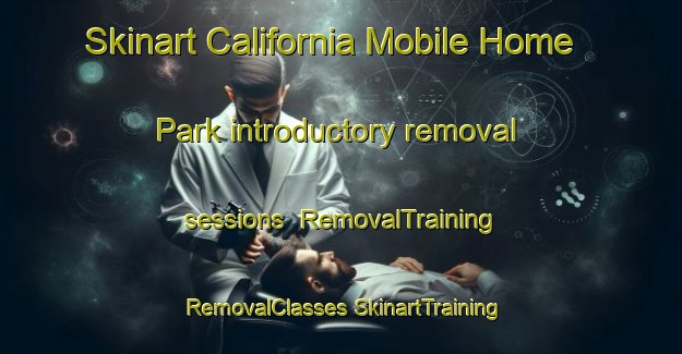 Skinart California Mobile Home Park introductory removal sessions | #RemovalTraining #RemovalClasses #SkinartTraining-United States