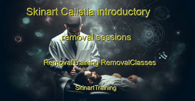 Skinart Calistia introductory removal sessions | #RemovalTraining #RemovalClasses #SkinartTraining-United States