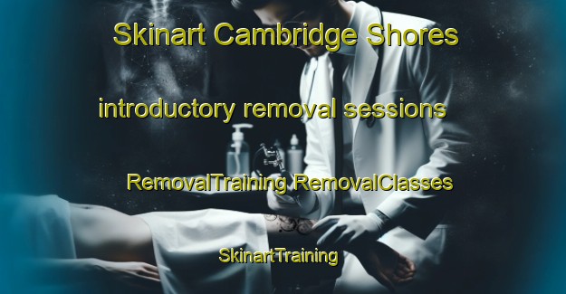 Skinart Cambridge Shores introductory removal sessions | #RemovalTraining #RemovalClasses #SkinartTraining-United States