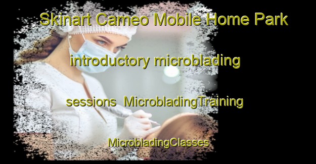 Skinart Cameo Mobile Home Park introductory microblading sessions | #MicrobladingTraining #MicrobladingClasses #SkinartTraining-United States