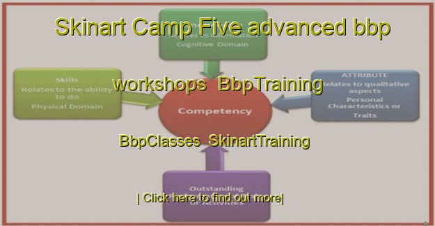 Skinart Camp Five advanced bbp workshops | BbpTraining | BbpClasses | SkinartTraining-United States