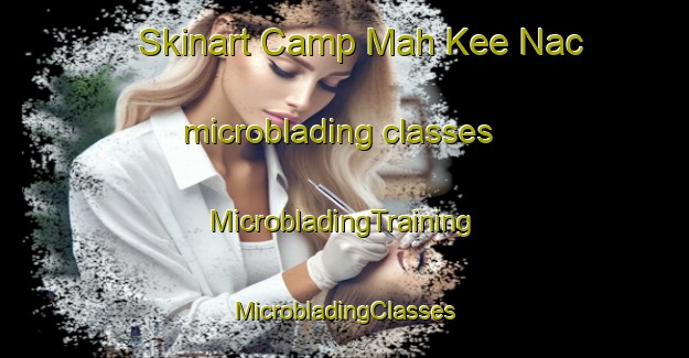 Skinart Camp Mah Kee Nac microblading classes | #MicrobladingTraining #MicrobladingClasses #SkinartTraining-United States