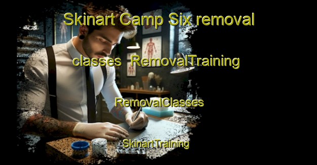 Skinart Camp Six removal classes | RemovalTraining | RemovalClasses | SkinartTraining-United States