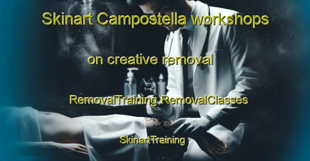 Skinart Campostella workshops on creative removal | #RemovalTraining #RemovalClasses #SkinartTraining-United States