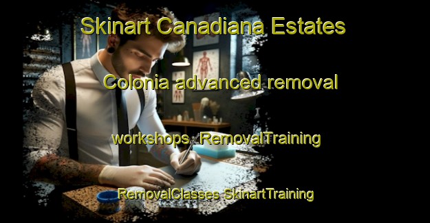 Skinart Canadiana Estates Colonia advanced removal workshops | #RemovalTraining #RemovalClasses #SkinartTraining-United States