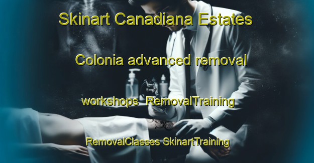 Skinart Canadiana Estates Colonia advanced removal workshops | #RemovalTraining #RemovalClasses #SkinartTraining-United States