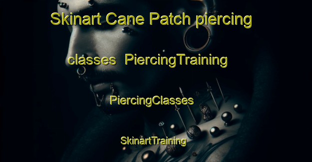 Skinart Cane Patch piercing classes | PiercingTraining | PiercingClasses | SkinartTraining-United States