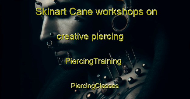 Skinart Cane workshops on creative piercing | #PiercingTraining #PiercingClasses #SkinartTraining-United States