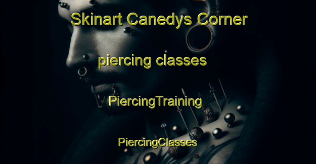 Skinart Canedys Corner piercing classes | #PiercingTraining #PiercingClasses #SkinartTraining-United States