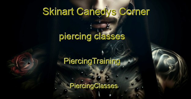 Skinart Canedys Corner piercing classes | PiercingTraining | PiercingClasses | SkinartTraining-United States