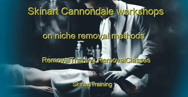 Skinart Cannondale workshops on niche removal methods | #RemovalTraining #RemovalClasses #SkinartTraining-United States