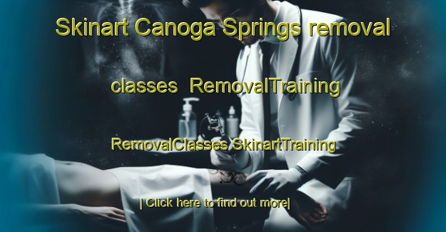 Skinart Canoga Springs removal classes | #RemovalTraining #RemovalClasses #SkinartTraining-United States