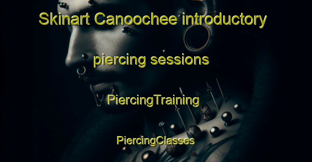 Skinart Canoochee introductory piercing sessions | #PiercingTraining #PiercingClasses #SkinartTraining-United States