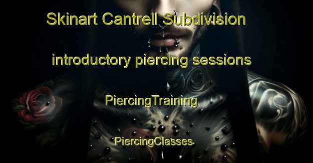Skinart Cantrell Subdivision introductory piercing sessions | PiercingTraining | PiercingClasses | SkinartTraining-United States