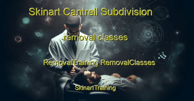 Skinart Cantrell Subdivision removal classes | #RemovalTraining #RemovalClasses #SkinartTraining-United States