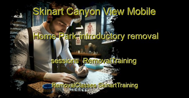 Skinart Canyon View Mobile Home Park introductory removal sessions | #RemovalTraining #RemovalClasses #SkinartTraining-United States