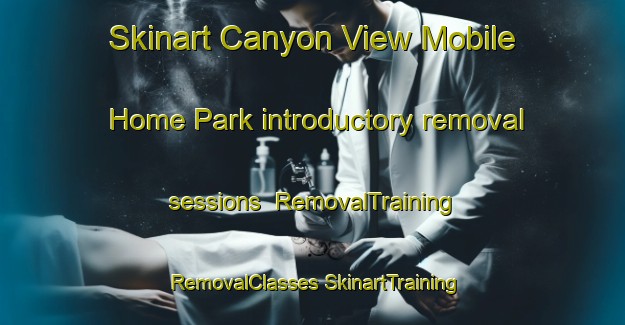 Skinart Canyon View Mobile Home Park introductory removal sessions | #RemovalTraining #RemovalClasses #SkinartTraining-United States