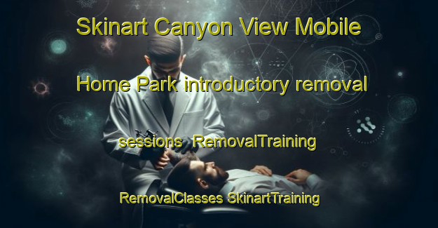 Skinart Canyon View Mobile Home Park introductory removal sessions | #RemovalTraining #RemovalClasses #SkinartTraining-United States