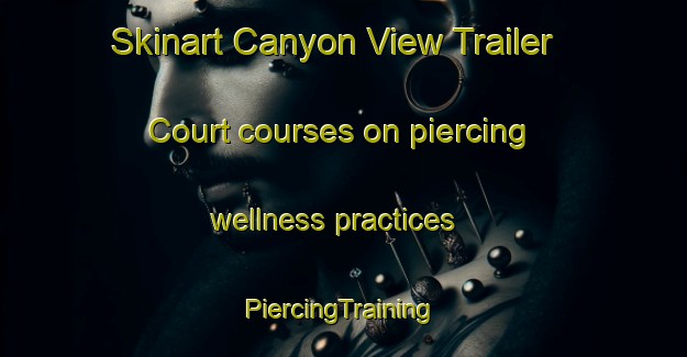 Skinart Canyon View Trailer Court courses on piercing wellness practices | #PiercingTraining #PiercingClasses #SkinartTraining-United States