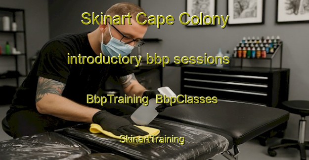 Skinart Cape Colony introductory bbp sessions | BbpTraining | BbpClasses | SkinartTraining-United States