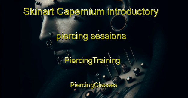 Skinart Capernium introductory piercing sessions | #PiercingTraining #PiercingClasses #SkinartTraining-United States