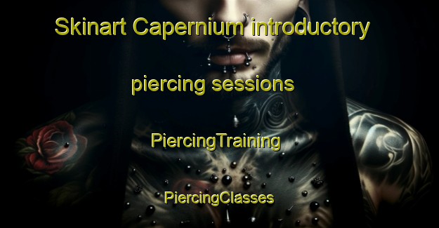 Skinart Capernium introductory piercing sessions | #PiercingTraining #PiercingClasses #SkinartTraining-United States