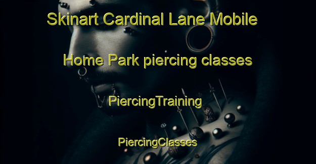 Skinart Cardinal Lane Mobile Home Park piercing classes | #PiercingTraining #PiercingClasses #SkinartTraining-United States