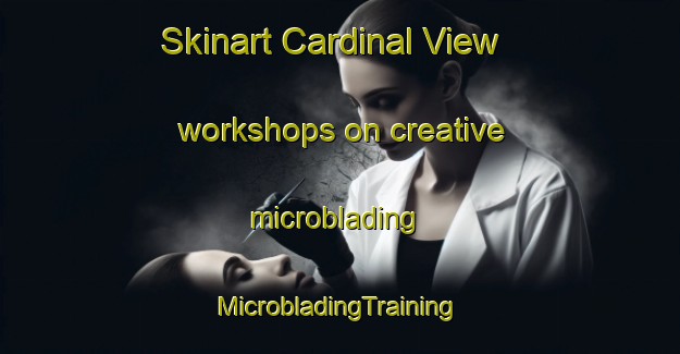 Skinart Cardinal View workshops on creative microblading | #MicrobladingTraining #MicrobladingClasses #SkinartTraining-United States