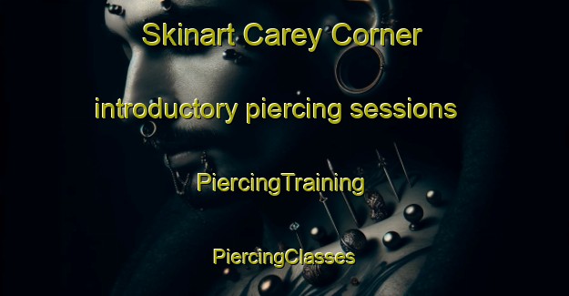 Skinart Carey Corner introductory piercing sessions | #PiercingTraining #PiercingClasses #SkinartTraining-United States