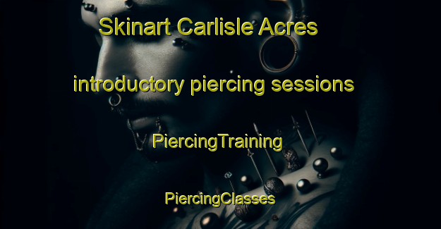 Skinart Carlisle Acres introductory piercing sessions | #PiercingTraining #PiercingClasses #SkinartTraining-United States