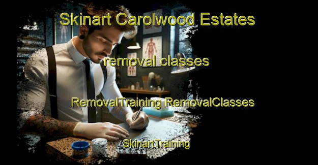 Skinart Carolwood Estates removal classes | #RemovalTraining #RemovalClasses #SkinartTraining-United States