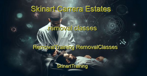 Skinart Carrera Estates removal classes | #RemovalTraining #RemovalClasses #SkinartTraining-United States